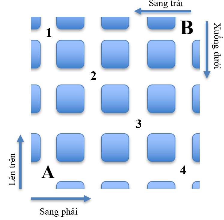 Hình minh họa câu hỏi